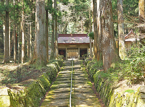 周辺地域紹介