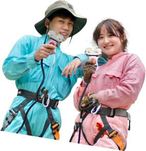 森を舞台に、大冒険。