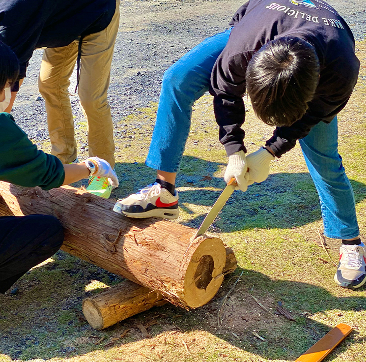 森を舞台に、大冒険。