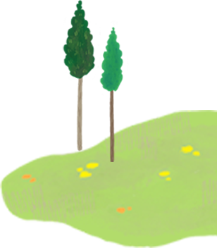 木