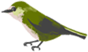 森の未来館